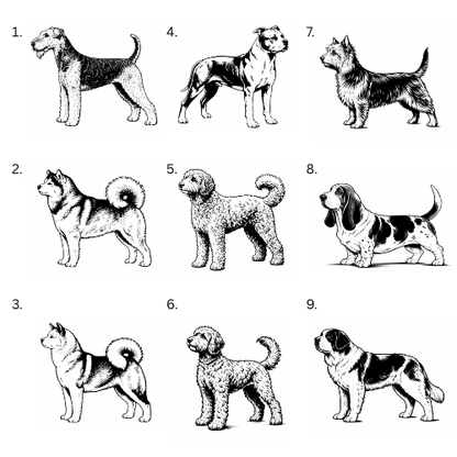 Personoitu koira saunamittari | Oma nimi - 99+ rotua