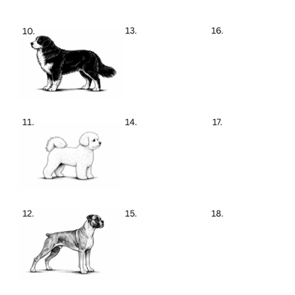 Personoitu koira saunamittari | Oma nimi - 99+ rotua