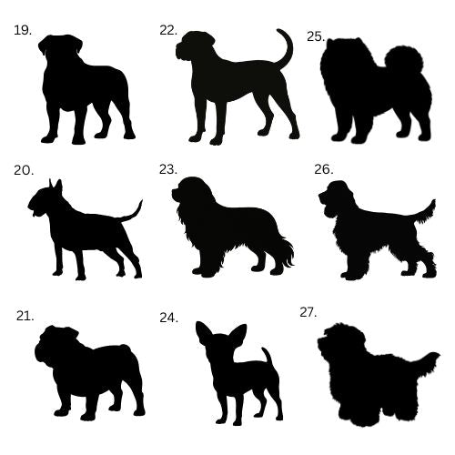 Koirajoulupallo siivillä