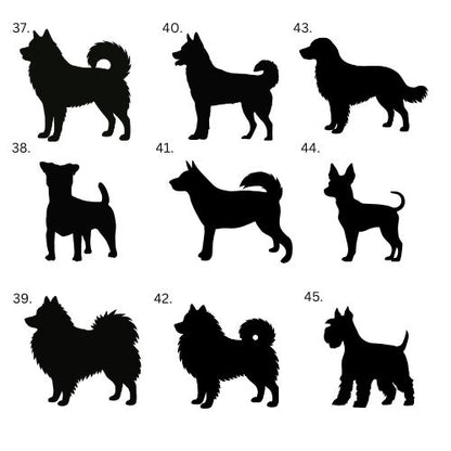 Koirajoulupallo siivillä