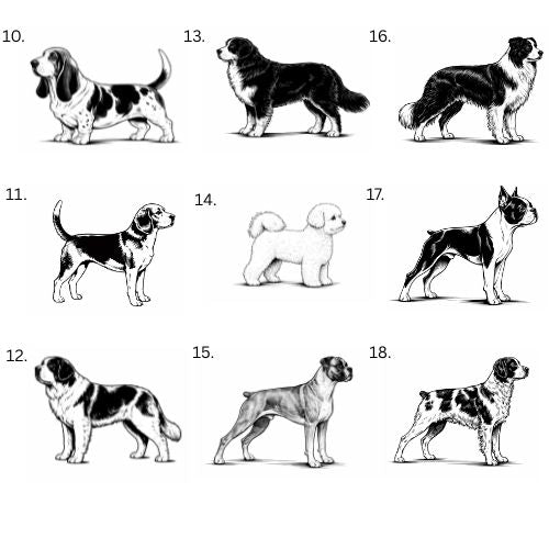 Personoitu koira saunamittari | Oma nimi - 99+ rotua