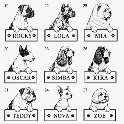 Hundset med eget namn | 4 produkter -20 %