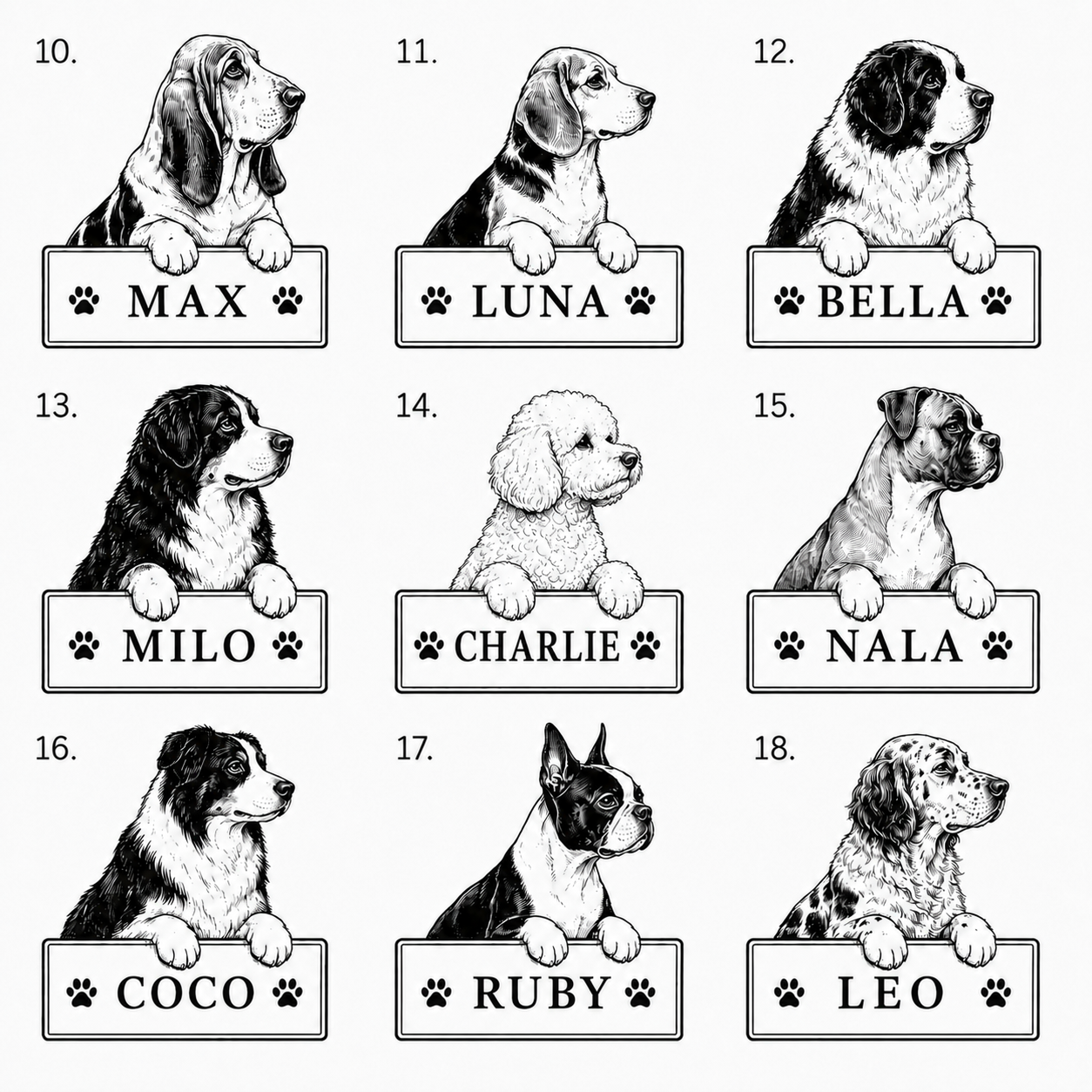 Hundset med eget namn | 4 produkter -20 %