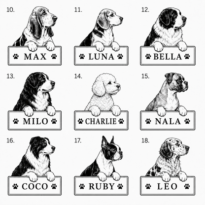 Hundset med eget namn | 4 produkter -20 %