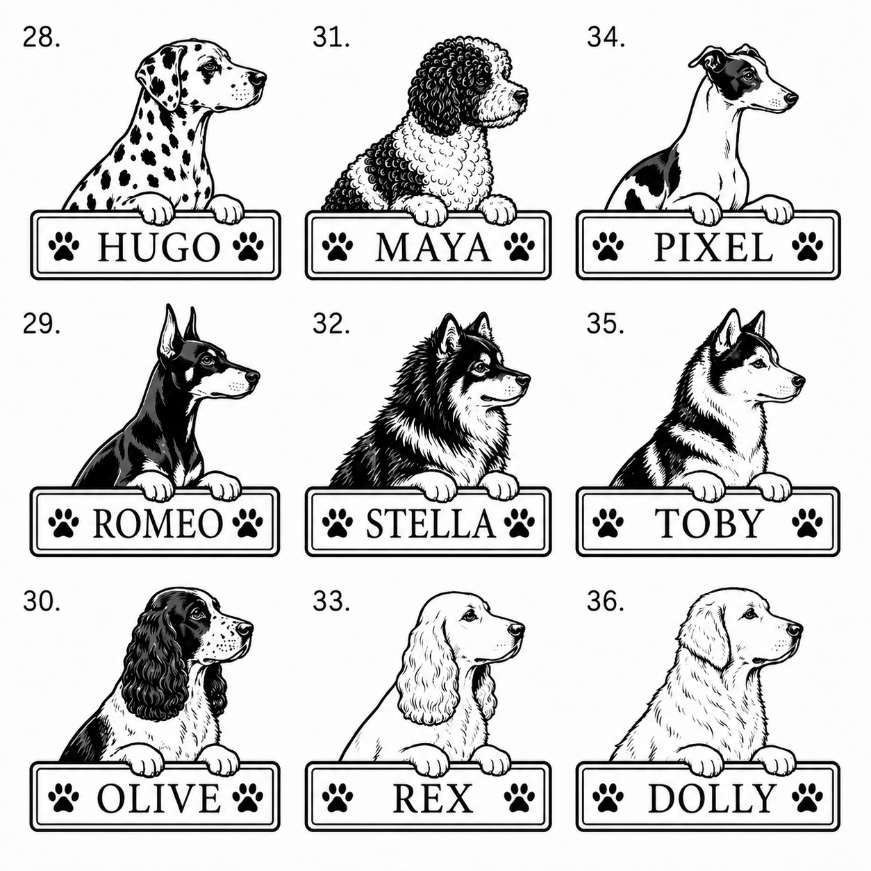 Hundset med eget namn | 4 produkter -20 %