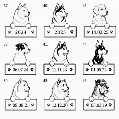 Hundset med eget namn | 4 produkter -20 %