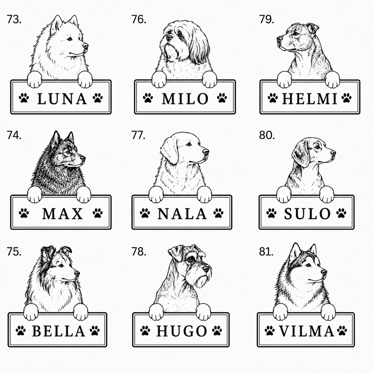 Hundset med eget namn | 4 produkter -20 %