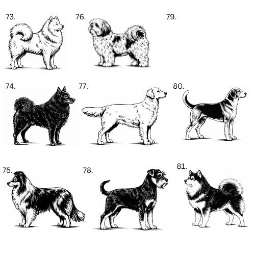 Personoitu koira saunamittari | Oma nimi - 99+ rotua