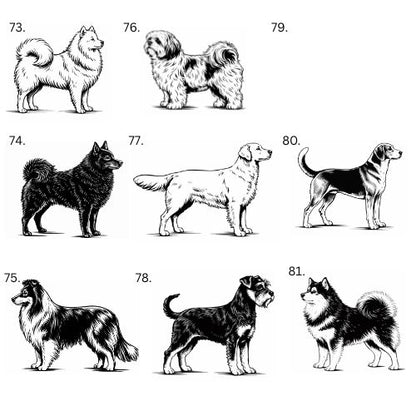 Personoitu koira saunamittari | Oma nimi - 99+ rotua