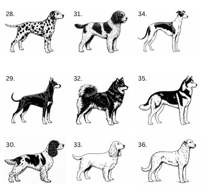 Personoitu koira saunamittari | Oma nimi - 99+ rotua