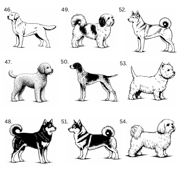Personoitu koira saunamittari | Oma nimi - 99+ rotua