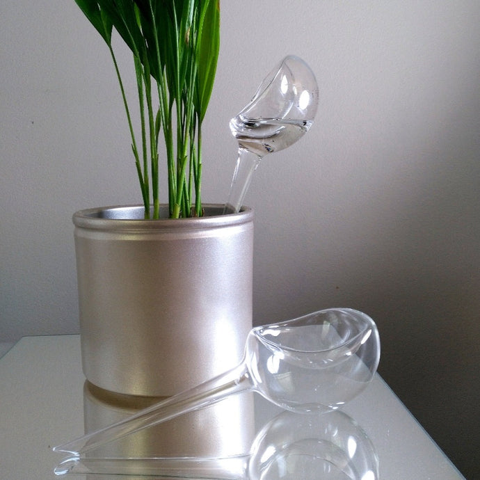 SYMPHONY PLANT WATERING GLASS